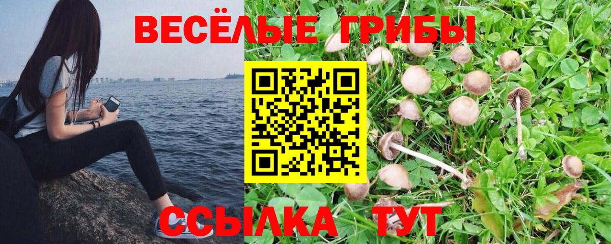 Вязьма  Псилоцибиновые грибы ЛСД  Псилоцибиновые грибы Magic Shrooms  Вход с VPN 
