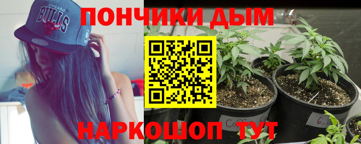 Шишки марихуана MAZAR  Вход с VPN  Вязьма  Бошки марихуана сатива  Марихуана OG Kush 